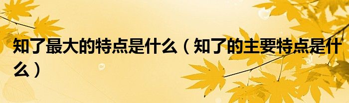 知了最大的特点是什么（知了的主要特点是什么）