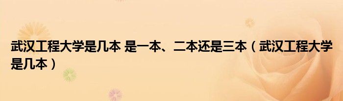 武汉工程大学是几本 是一本、二本还是三本（武汉工程大学是几本）