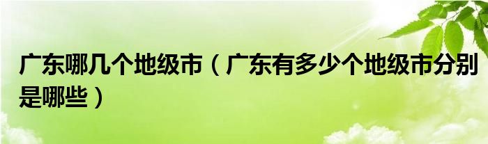 广东哪几个地级市（广东有多少个地级市分别是哪些）