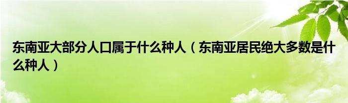 东南亚大部分人口属于什么种人（东南亚居民绝大多数是什么种人）