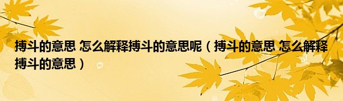 搏斗的意思 怎么解释搏斗的意思呢（搏斗的意思 怎么解释搏斗的意思）