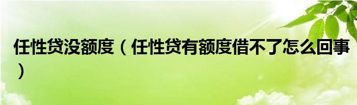 任性贷没额度（任性贷有额度借不了怎么回事）