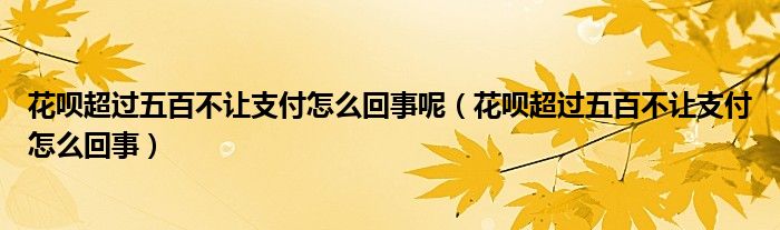 花呗超过五百不让支付怎么回事呢（花呗超过五百不让支付怎么回事）