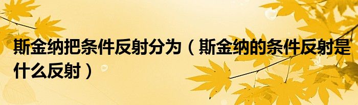 斯金纳把条件反射分为（斯金纳的条件反射是什么反射）