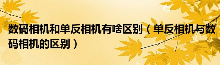 数码相机和单反相机有啥区别（单反相机与数码相机的区别）