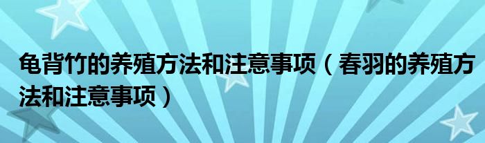 龟背竹的养殖方法和注意事项（春羽的养殖方法和注意事项）