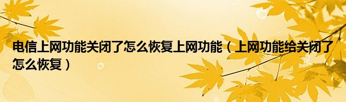 电信上网功能关闭了怎么恢复上网功能（上网功能给关闭了怎么恢复）