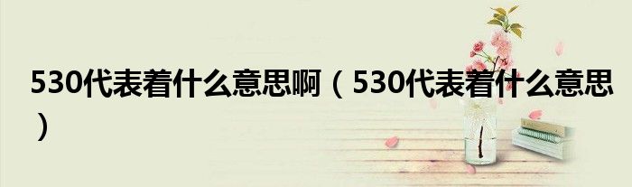 530代表着什么意思啊（530代表着什么意思）