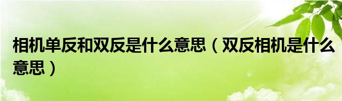 相机单反和双反是什么意思（双反相机是什么意思）