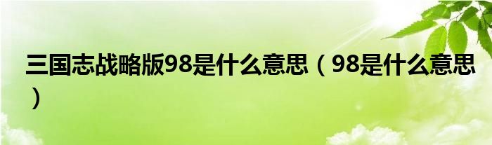 三国志战略版98是什么意思（98是什么意思）