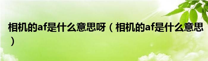 相机的af是什么意思呀（相机的af是什么意思）