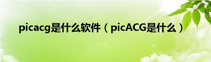 picacg是什么软件（picACG是什么）