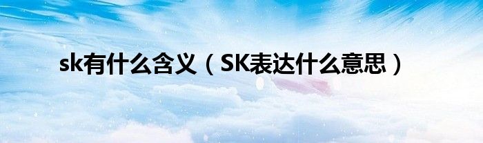 sk有什么含义（SK表达什么意思）