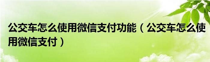 公交车怎么使用微信支付功能（公交车怎么使用微信支付）