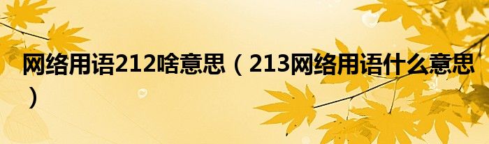 网络用语212啥意思（213网络用语什么意思）