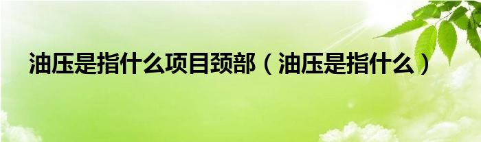 油压是指什么项目颈部（油压是指什么）