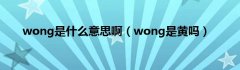 wong是什么意思啊（wong是黄吗）