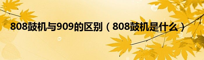 808鼓机与909的区别（808鼓机是什么）