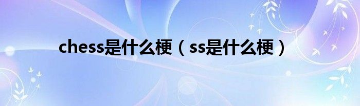 chess是什么梗（ss是什么梗）