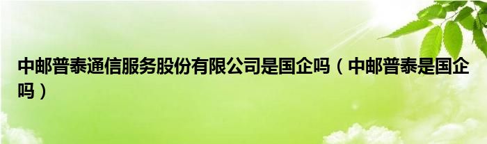 中邮普泰通信服务股份有限公司是国企吗（中邮普泰是国企吗）