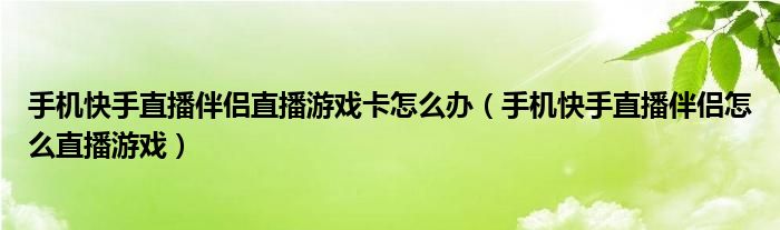 手机快手直播伴侣直播游戏卡怎么办（手机快手直播伴侣怎么直播游戏）