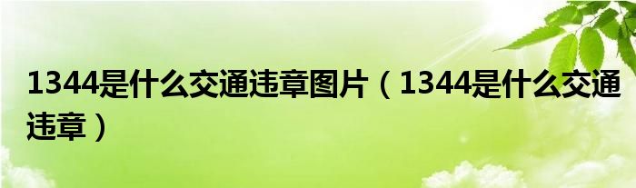 1344是什么交通违章图片（1344是什么交通违章）