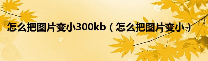 怎么把图片变小300kb（怎么把图片变小）