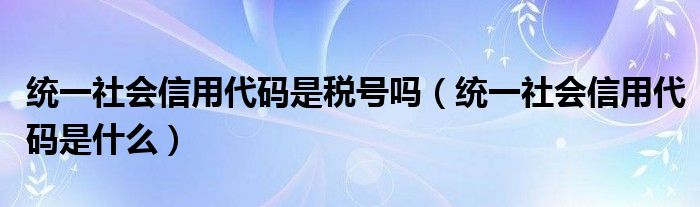 统一社会信用代码是税号吗（统一社会信用代码是什么）