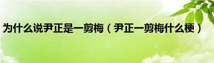 为什么说尹正是一剪梅（尹正一剪梅什么梗）