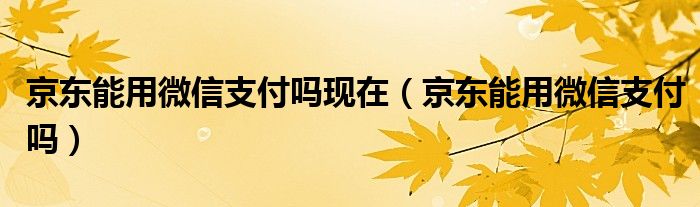 京东能用微信支付吗现在（京东能用微信支付吗）