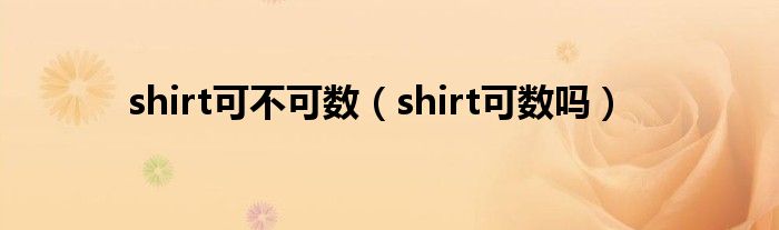 shirt可不可数（shirt可数吗）