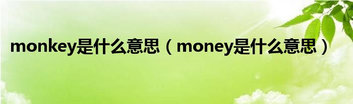 monkey是什么意思（money是什么意思）