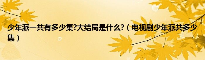 少年派一共有多少集?大结局是什么?（电视剧少年派共多少集）