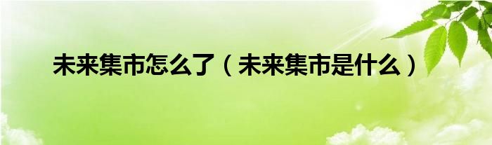 未来集市怎么了（未来集市是什么）