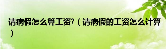 请病假怎么算工资?（请病假的工资怎么计算）