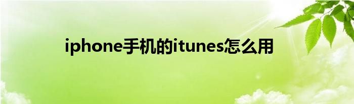 iphone手机的itunes怎么用