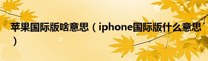 苹果国际版啥意思（iphone国际版什么意思）