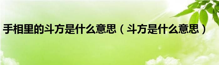 手相里的斗方是什么意思（斗方是什么意思）