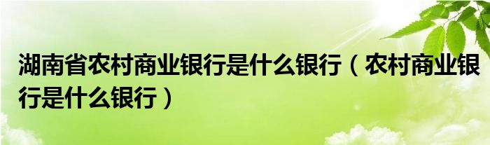 湖南省农村商业银行是什么银行（农村商业银行是什么银行）