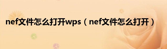 nef文件怎么打开wps（nef文件怎么打开）