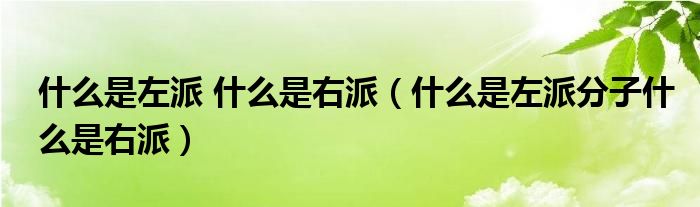 什么是左派 什么是右派（什么是左派分子什么是右派）