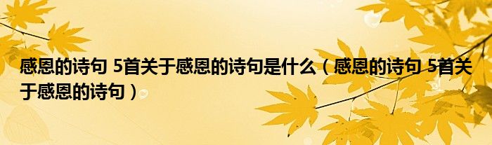 感恩的诗句 5首关于感恩的诗句是什么（感恩的诗句 5首关于感恩的诗句）