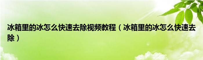 冰箱里的冰怎么快速去除视频教程（冰箱里的冰怎么快速去除）