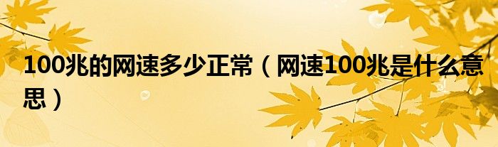 100兆的网速多少正常（网速100兆是什么意思）