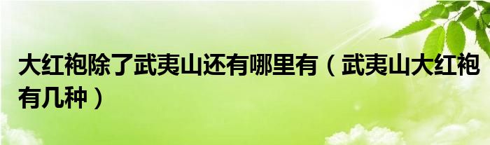 大红袍除了武夷山还有哪里有（武夷山大红袍有几种）