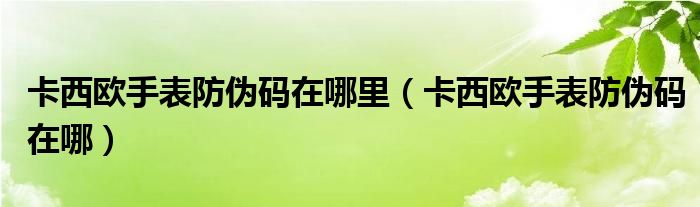 卡西欧手表防伪码在哪里（卡西欧手表防伪码在哪）