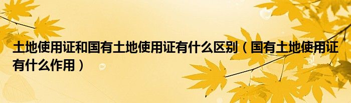 土地使用证和国有土地使用证有什么区别（国有土地使用证有什么作用）