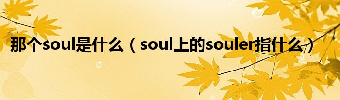 那个soul是什么（soul上的souler指什么）