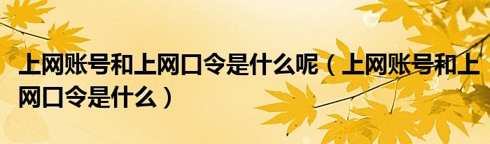 上网账号和上网口令是什么呢（上网账号和上网口令是什么）