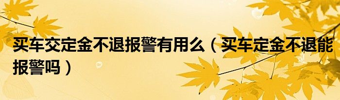 买车交定金不退报警有用么（买车定金不退能报警吗）